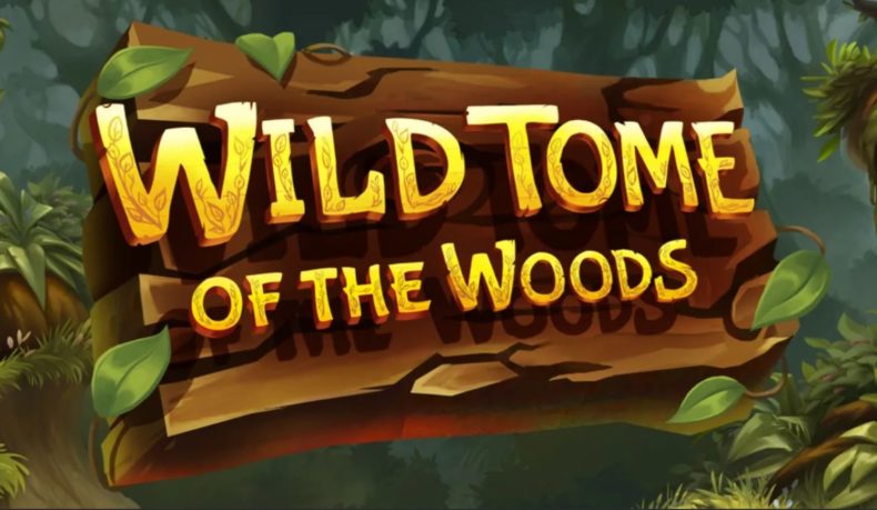 Обзор слота Wild Tome of the Woods
